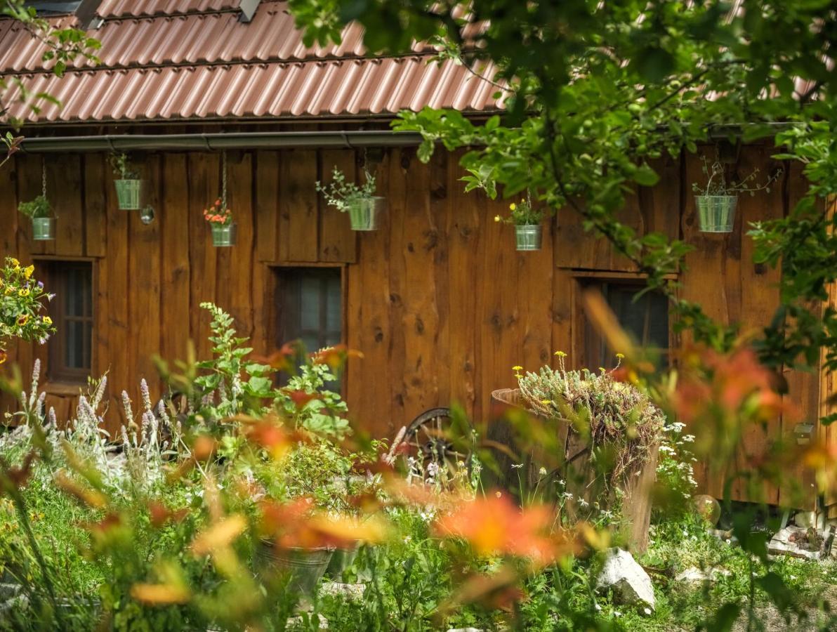 Yeti Cabin 普利特维采村 外观 照片