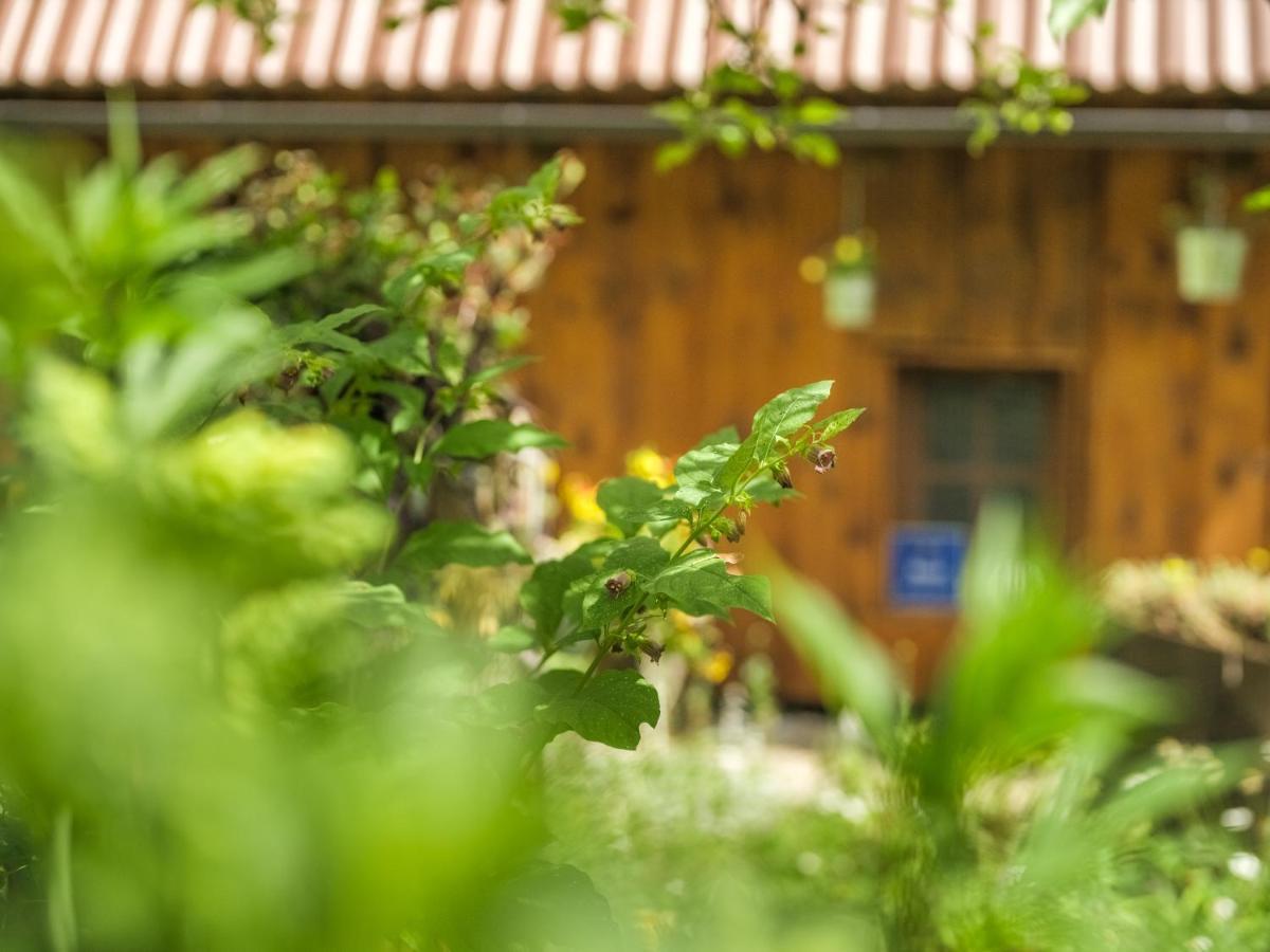 Yeti Cabin 普利特维采村 外观 照片