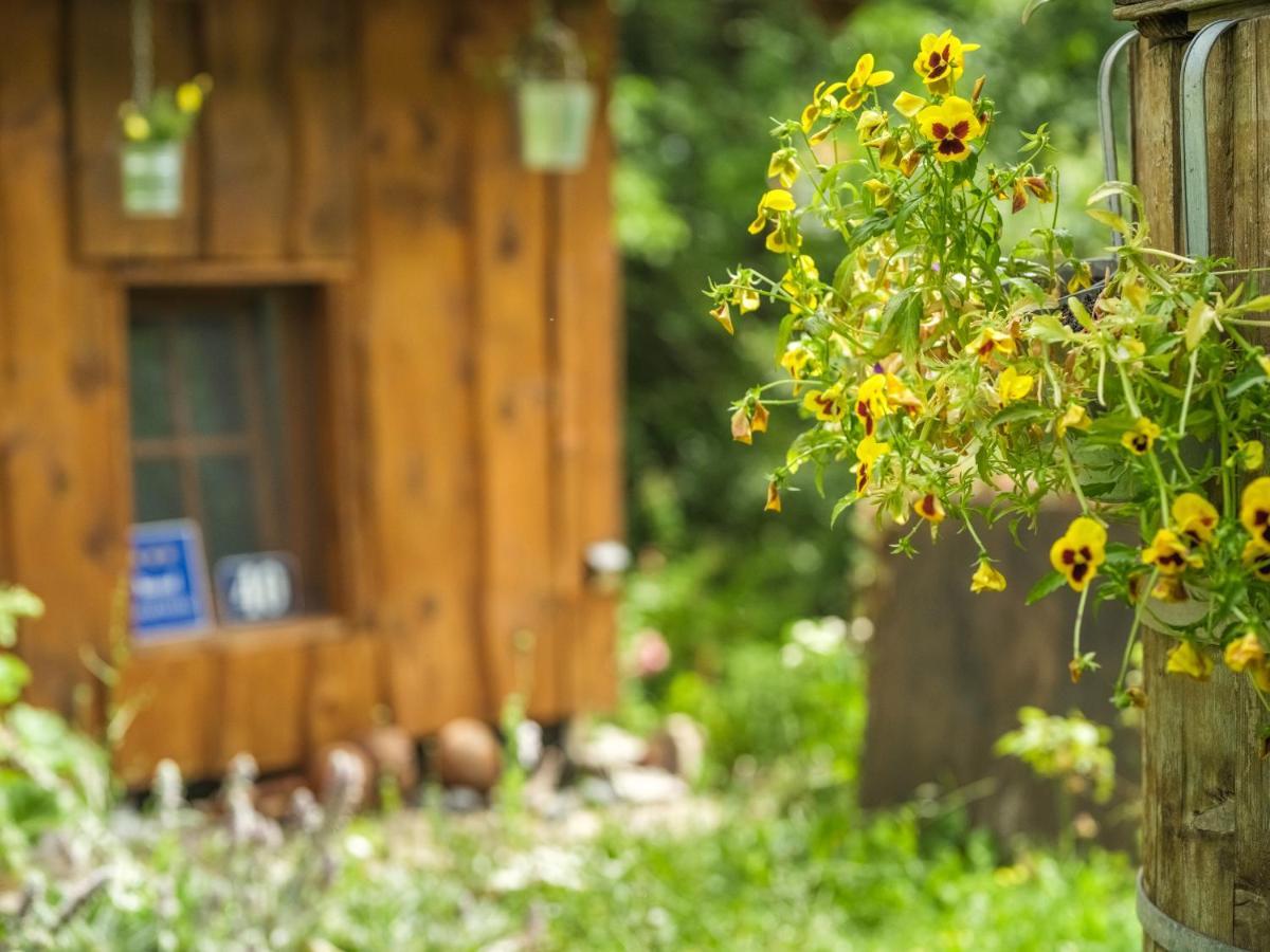 Yeti Cabin 普利特维采村 外观 照片